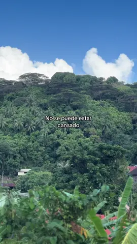 Amén 🙏🏽 