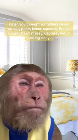 #easypeasylemonsqueezy #funny #relatable #memestiktok #memedakwah 