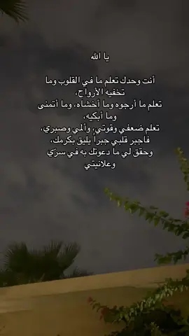 يارب… اجعل في قلوبنا طمأنينة، وفي أيامنا فرح، وفي دروبنا نور، وحقق لنا ما نتمنى برحمتك ولطفك. 🤲