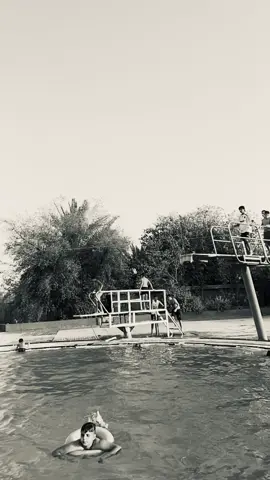 #العامريه 