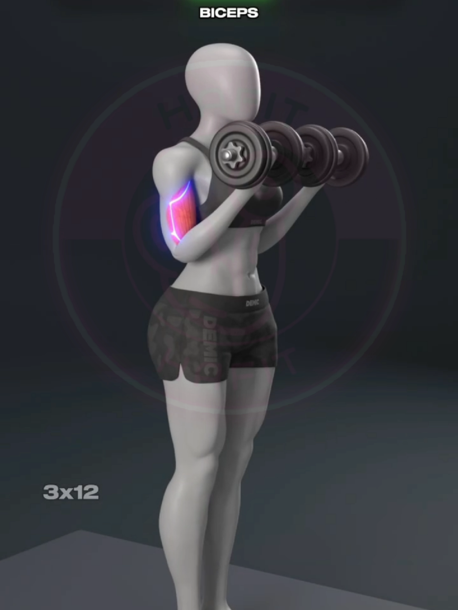 تمارين الجزء العلوي بالدمبل تعني أنك تدرّب كل العضلات من الخصر للأعلى (صدر، ظهر، أكتاف، بايسبس، ترايسبس، وأحيانًا البطن) باستخدام الدمبل فقط بدل البار أو الأجهزة. --- الشرح الأدوات: تحتاج دمبل واحد أو اثنين فقط. طريقة العمل: كل تمرين يستهدف مجموعة عضلية محددة، ويمكنك أداءها في البيت أو الجيم. #upperbody #biceps #triceps #shoulderworkout #chest 