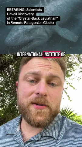 Scientists drilling in a Patagonian glacier found something no one was ready for… A 26-foot predator with armor made of quartz, 300 teeth intact, and eyes frozen open for 12,000 years. The ‘Crystal-Back Leviathan’ might be the best-preserved ice-age monster ever found — or the most dangerous.  #S#ScientificDiscoveryA#AncientCreaturesP#PrehistoricFindR#RareDiscoveryScienceNews *this is a fabricated news story, if you had the patience to make it to the end I make that clear. 