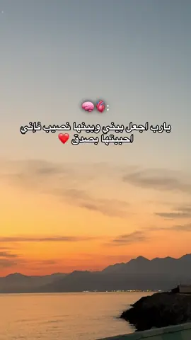 #explore #pourtoi #يارب❤️ #حب #algeria  @👑 