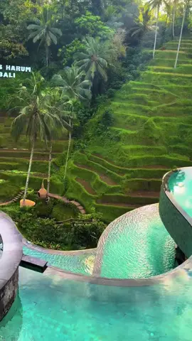 #bali #Bali #baliindonesia #indonesia #indonesia🇮🇩 #ubud #ubudbali #jungle #cretyaubud                            📍Cretya Ubud, Bali                     @Cretya Ubud 
