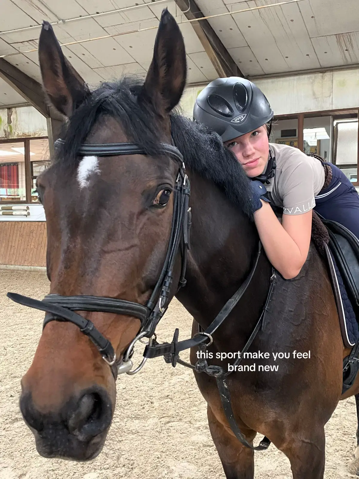 nich das selbe pferd #equestrian #equestriantiktok #trends #fyp #viral 