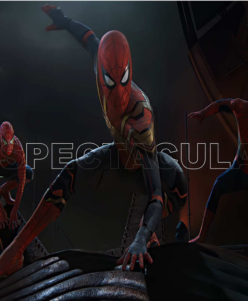 they are spectacular | Music - Spectacular Spiderman | scp:@ roninfx_09 | #spiderman #spidermanedit #tobeymaguire #andrewgarfield #tomholland