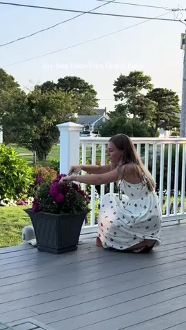 This is literally her in the wild😇🌹💐🌸🌻🧚🌿🍃