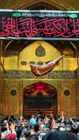 أشهد بأنك وفي ❤️.#ماحسبت_هلكثر_باسم_الكربلائي #زيارة_الأربعين #الزيارة_الاربعينية #الإمام_العباس_عليه_السلام 