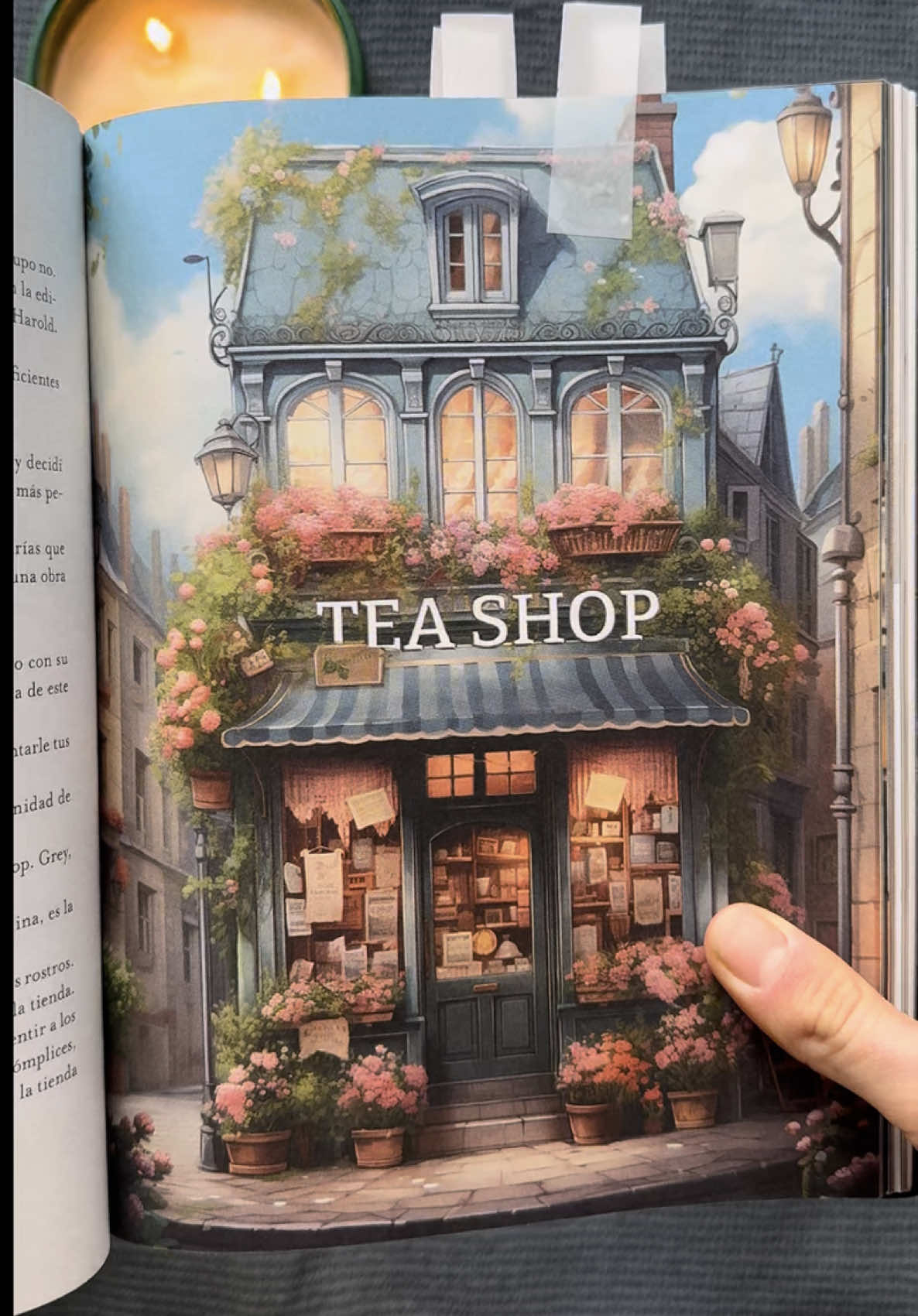 Así se vé Tea Shop por dentro 😍 #teashopseries #teashop #BookTok #booktokespañol #booktokmexico #booktokcolombia #booktoklatino #netflixlatinoamerica #netflixseries #abuelasdetiktok #lgbt #boyloveseries #fyp #mexico #colombia #kpop #geek #kpopers #geektok 