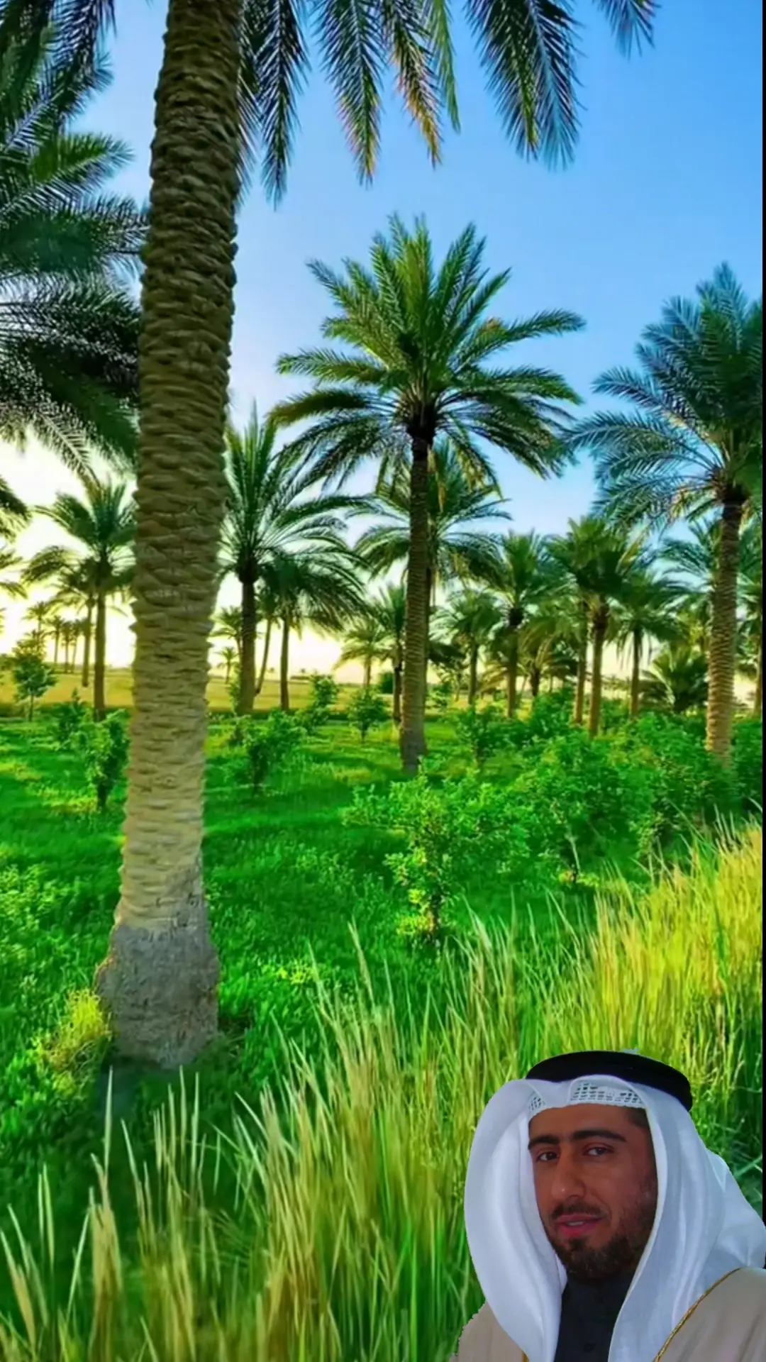 #السابقون_والسابقون_أولئك_المقربون #سورة_الواقعه #quran_alkarim_quanvideo #الشيخ_نعمه_الحسان #