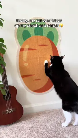 It’s so cute and cats love it! #cats #scratchboard #catsoftiktok #catmom 