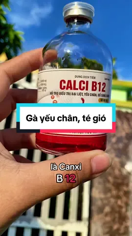 Gà khoẻ, xương chắc, mau sung @NY shop @NY shop #nyshop196 #thuocgagiare #thuocthuy #canxib12choga 