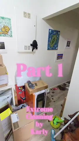 #CleanTok #hoarding #hoarders #cleaner #cleaning 