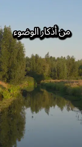 #السيرة_النبوية #بدر_المشاري #محمد_علي_الشنقيطي 