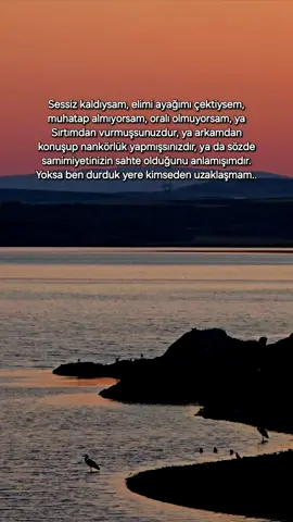 S T O R Y L İ K #📌  Sessiz kaldıysam, elimi ayağımı çektiysem, muhatap almıyorsam, oralı olmuyorsam, ya Sırtımdan vurmuşsunuzdur, ya arkamdan konuşup nankörlük yapmışsınızdır, ya da sözde samimiyetinizin sahte olduğunu anlamışımdır. Yoksa ben durduk yere kimseden uzaklaşmam.. #storytime #storylikvideolar🦅📌 #anlamlısözler #gününsözü 