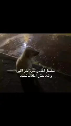 تؤ تؤ تؤ .. #fyp #فوريو 