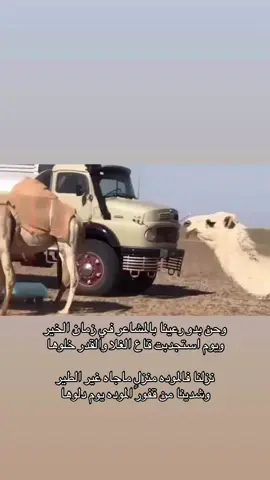 #طالب_الصعاق 