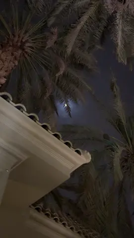 #مساعد_الرشيدي 