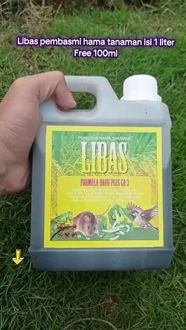 Libas pembasmi hama tanaman isi 1 liter  Free 100ml #libas #pembasmihamatanaman #pembasmihama #solusipetani #fyp 