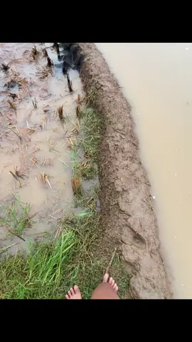 #loji #tegalwaru #karawang #karawangselatan #iya 