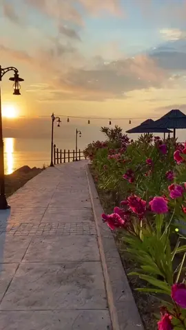 فيديو بدون صوت #🤍✨️  لتصميم القران #🤍✨️  مصممين قران #🤍✨️  فيديو بدون حقوق #🤍✨️ 