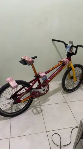 #balapontelsurabaya #balaponthelsidoarjo 