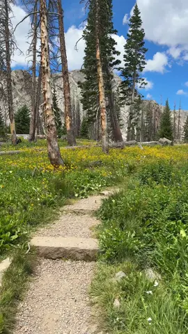 My cousin visited me this past week, I didn’t take many videos, but having them around made the first week of August feel absolutely magical. Thanks @Claudia #nature #adventures 