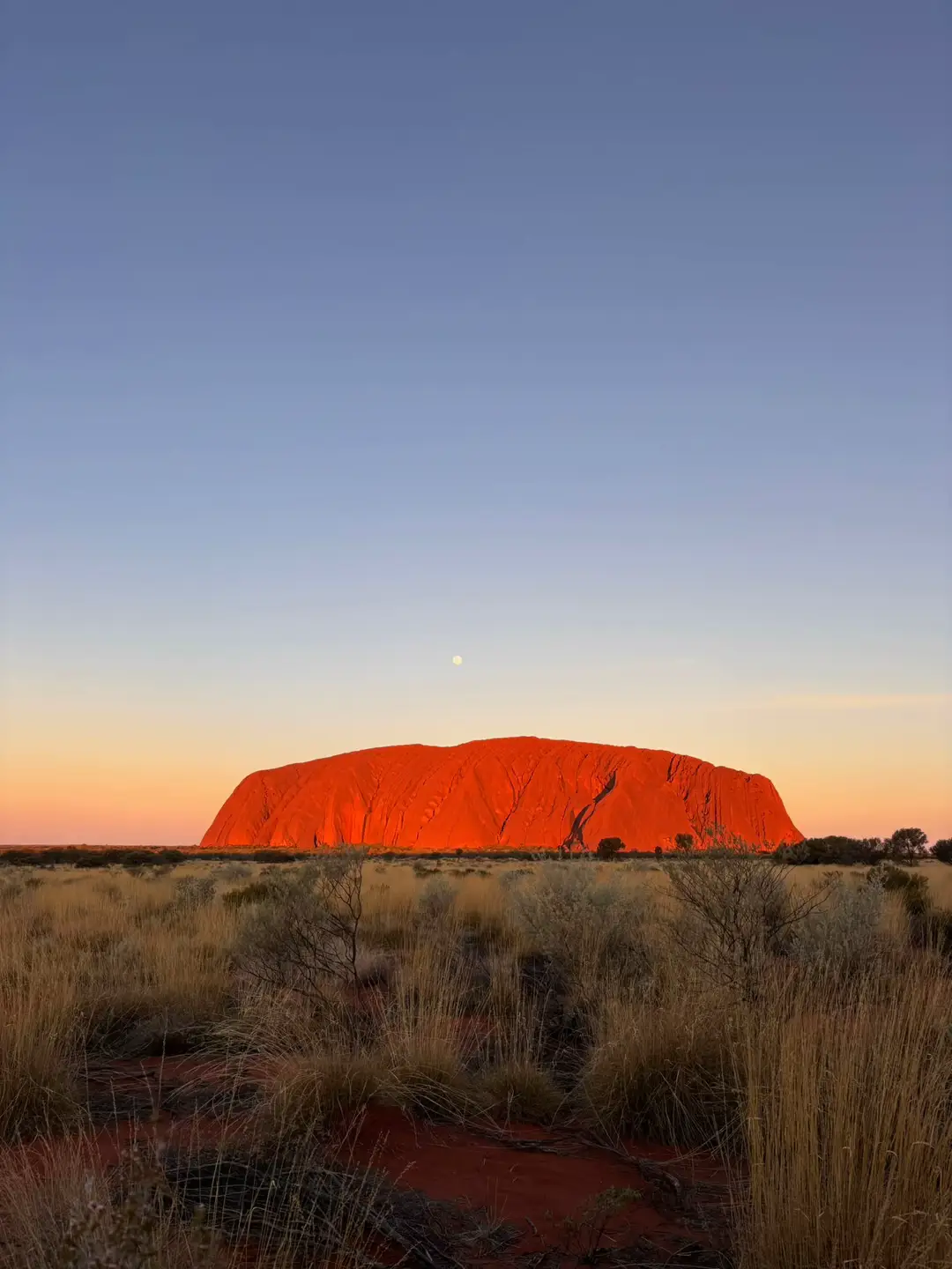 Uluru - Kata Tjuṯa, NT.  #traveltiktok #australia #australiatravel #uluru #sunsets 