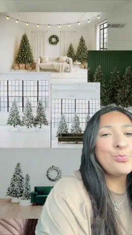 How do holiday minis work?  #houstonphotography #fyp #houstonphotographer #photography 