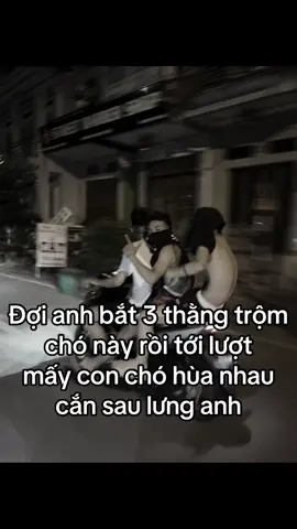 Săn cờ hó cùng anh em t