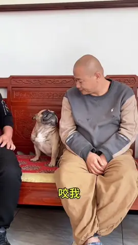 狗仗人势#olebrandselect #amuse #popular #搞笑视频 #上热门🔥🔥🔥 