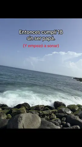 #factos#metas#gta#paratii#fyp 