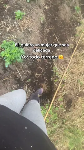 terreneitor 😮‍💨#fypシ゚#viraltiktok#