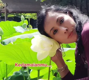 Kedamaianmu adalah prioritasmu.Mulailah perduli dengan jiwamu sendiri. Dikelilingi oleh orang- orang bermasalah hanya akan menambah masalah pikiranmu. #quote #hariini #kedamaian #innerpeace #lega #bahagia #masalah #solveyourownproblem #hadapimasalahmusendiri #jiwasehatmentalkuat🥰🥰  #teratai #me #jejuisland #korea 