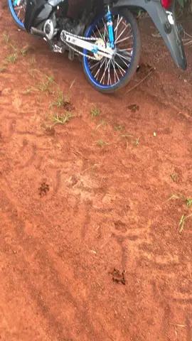 #ศุภณัฐ💙 #วงล้อเอสสตรอง #ไอเสียbsd🌺 #ก๊อตอะไหล่เเต่ง #ยักษ์บลู💙👹 #อุบลหวานมากกกก❤️‍🔥🤫 #เวฟ110iทรงเชง #ฟีดดดシ #อย่าปิดการมองเห็น 