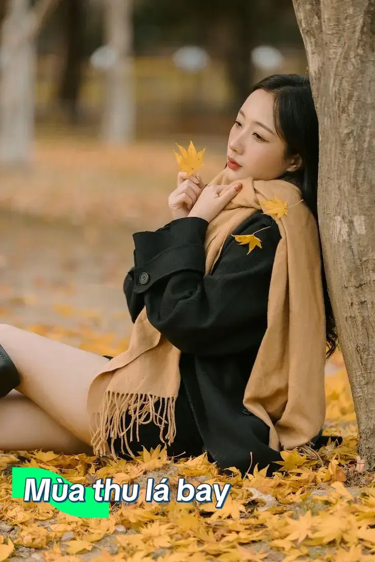 Một ngày sống bên anh sẽ muôn đời, dẫu cho mưa rơi đá mòn...🎶🎵🎤 #maungoc11  #bolero #nhactrutinh #nhachaymoingay #xuhuong @Lê Ngọc 