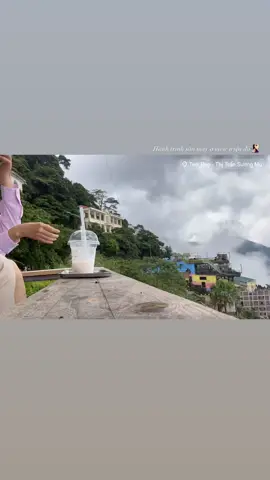 🌿 “Trốn khỏi phố xá ồn ào, leo lên Tam Đảo tìm mây, tìm cả những phút giây chỉ có tiếng cười và ánh mắt của nhau… bình yên đến mức chẳng muốn về.”