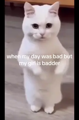 I COULD FILL YO CUP@Ri #ilovemygf 