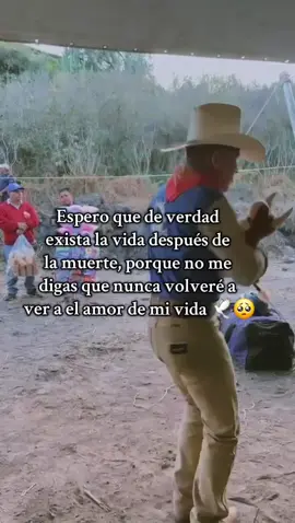 Querido Dios esperaré pacientemente porque Tus tiempos siempre son perfectos 💔🥺 @rogerallende350 Te amo mi Enano 😞 #hastaelcielo #teamo #🕊️ #enotravida #rojitas 