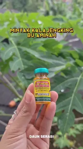 Minyak kalajengking #fyppppppppppppppppppppppp #fyp #minyak 