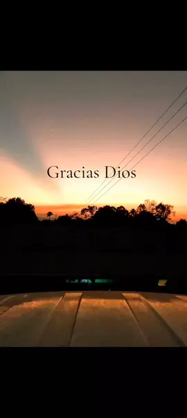 Gracias Dios Poderoso. me cuidas me preteges. 🙏 #oracion #hijodedios #bendiciones #oracionespoderosas 