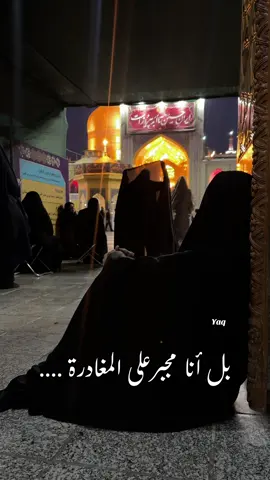اللهم لاتجعله آخر العهد مني ل زيارتكم 💔❤️‍🩹 #رضا_جان #امام_رضا #الامام_الرضا_عليه_السلام 