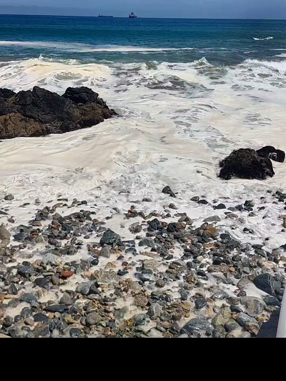 Peligro Alta Tensión 🔌💥💥🥵 Hector Williamson 😎 #peligroaltatension #salsabaul #viral #hectorwilliamson #musica ES EL CARRO DE LA SALSA 💎💎💎😏🚘🎙🎵😎