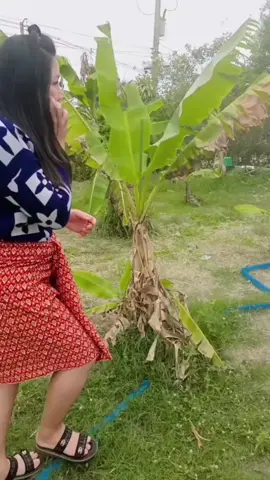 mau ketawa takut dosa video lucu bikin ngakak hiburan warga+62  #viral #trending #tiktok #viralvideo  #funnyvideos 