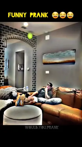 funny family prank 🤣🤣🤣  #uktiktokers #unitedstates #united #usa_tiktok #show #fyp #viral #unitedkingdom #uktik #trending #ukrap #foryou #foryoupage❤️❤️ 