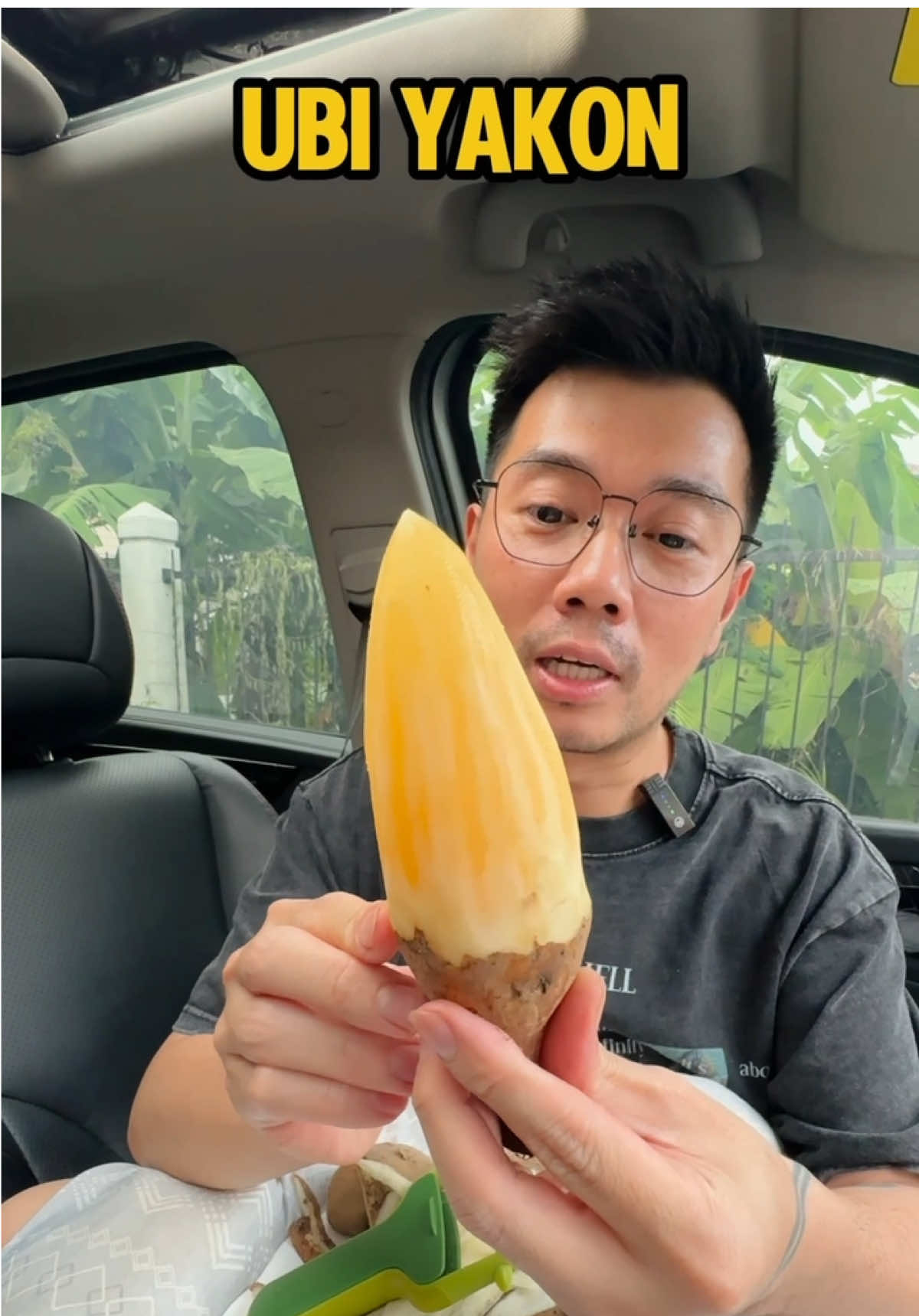 Ubi Yakon!! Ubi yang bisa dimakan mentah! Ada yg perna coba? 