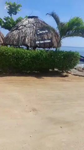 No dudes de mi Farid Ortiz 