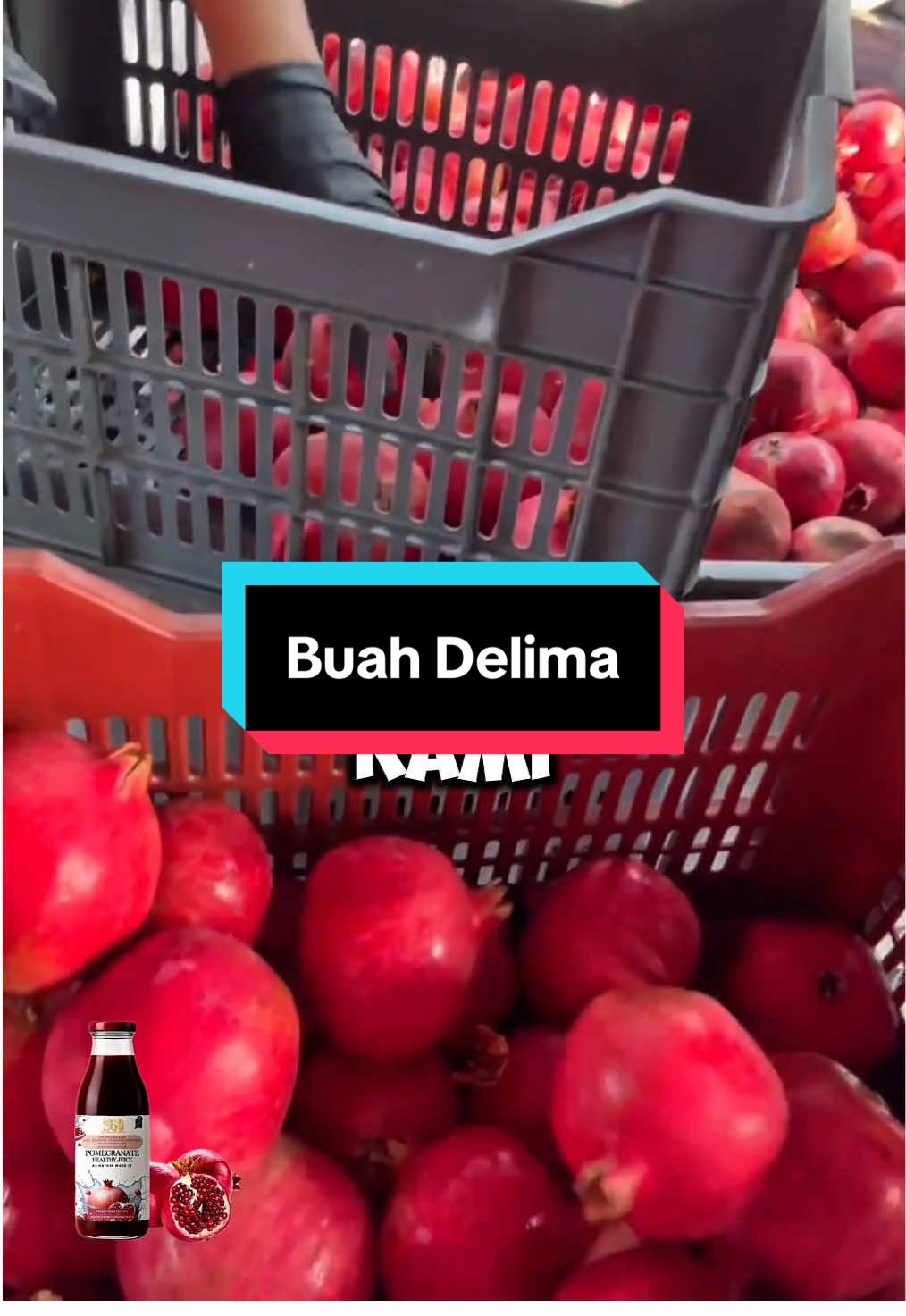 Ada ke penggemar buah delima di sini? Pernah cuba khasiat jus yang betul-betul organik terus dari ladang? Mahal ke? #creatorsearchinsights #fyp #capcut #pomegranate #juice 