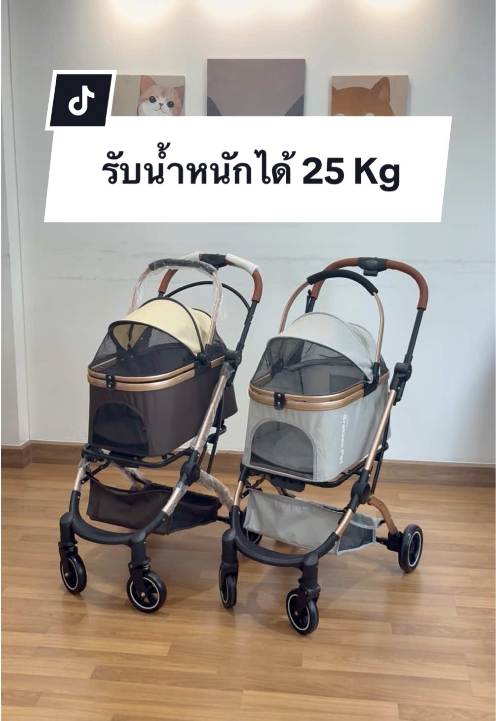 รถเข็น Bratvee สีใหม่มาแล้ว! สวยจนใจสั่น 😍 ฟังก์ชันครบเหมือนเดิม  พับได้ ถอดเป็น car seat ได้ แถมสีสวยโดนใจสุด ๆทาสหมาทาสแมวห้ามพลาด! 🐶😻 #รถเข็นสัตว์เลี้ยง #petstroller #ทาสหมาทาสแมว #bratveepet 