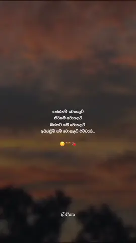 😩🍫#lara #fypシ゚viral #couplegoals #statusvideo #srilankan_tik_tok🇱🇰 